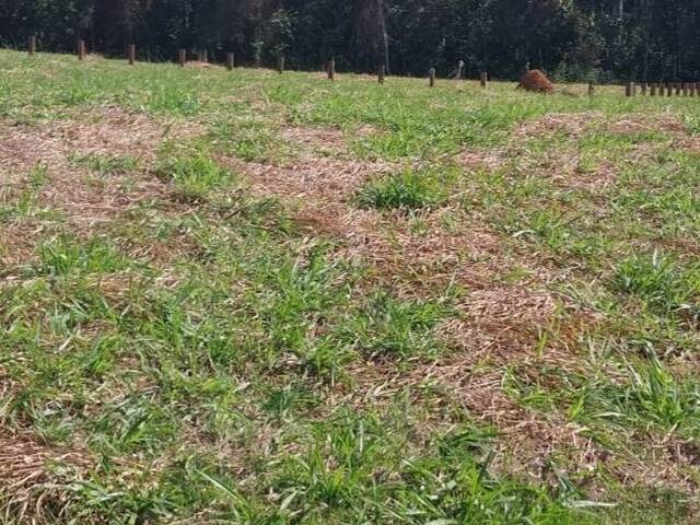 #130 - Área para Venda em Chapada dos Guimarães - MT