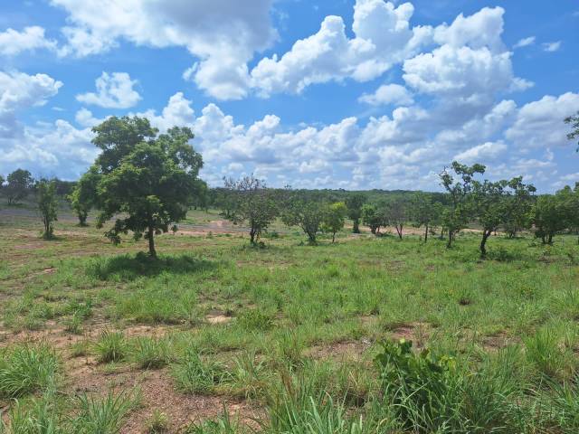 #136 - Área para Venda em Cuiabá - MT - 1