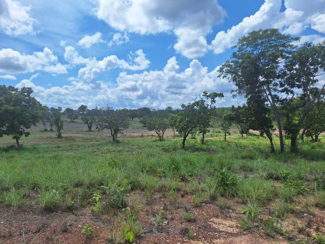 #136 - Área para Venda em Cuiabá - MT - 2